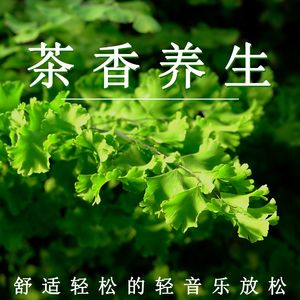舒适轻松养生