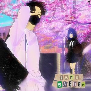 Tere Sheher