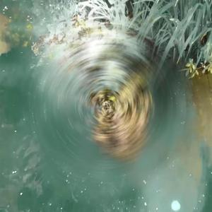 dreams, visions, persistence (live at dauwtrip)