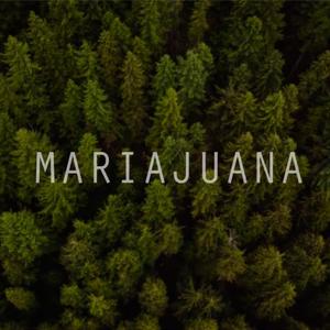 MariaJuana