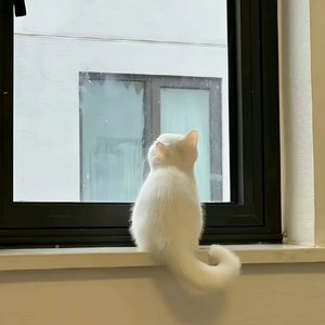 未完成的诗