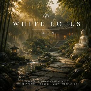 White Lotus Path