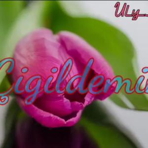 Çigildemim (feat. UlyKazy)