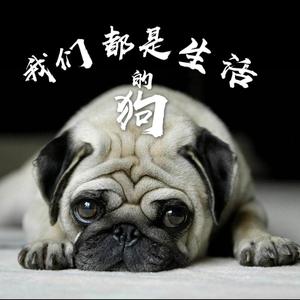 我们都是生活的狗