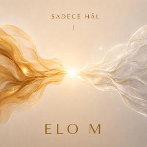 SADECE HÂL