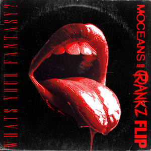 Ludacris - What's Your Fantasy (Moceans & RANKZ Flip)