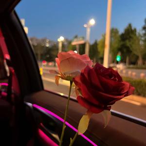 我们分手的那天是愚人节（2k24新语录旋律V7）