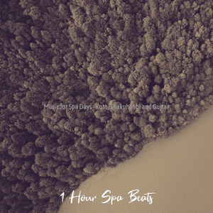 Mysterious Shakuhachi and Koto - Vibe for Spa Days