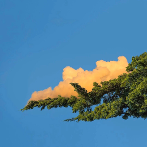 沧桑Cang333-公路商店remix（26% remix）