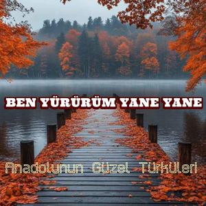 BEN YÜRÜRÜM YANE YANE