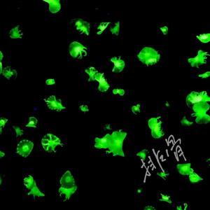 关于你我能想到的事（Prod.Trai5or&Raymone）