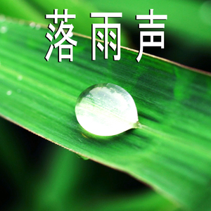 落雨声,1部