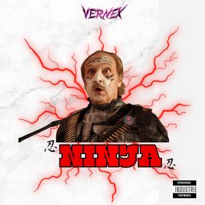 NINJA