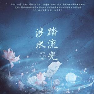 涉水踏流光