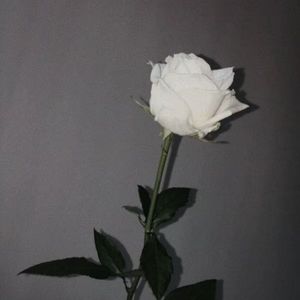 泪.熙攘prod by Ay beat