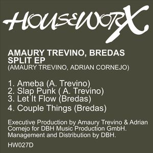 Ameba (Original Mix)