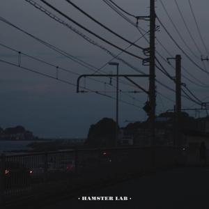 遲來的海嘯 Tsunami Long Overdue