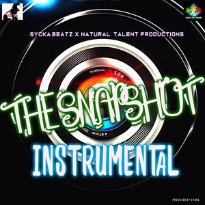 THE SNAPSHOT INSTRUMENTAL