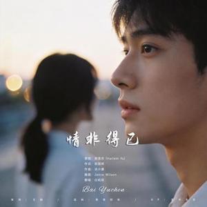 情非得已 (波萨诺瓦吉他)