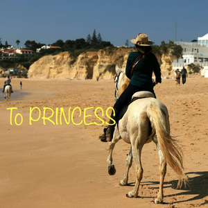 Thoughts of the Princess