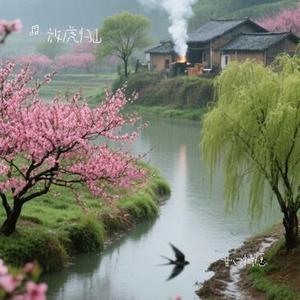 甘心情愿（Cover 小阿枫）