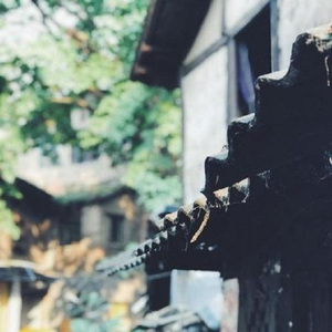 久不唱歌忘了歌