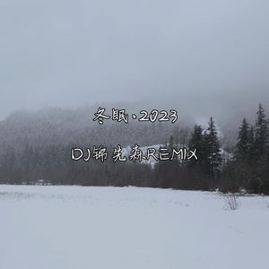 冬眠 · 2023（DJ锦先森 Remix）