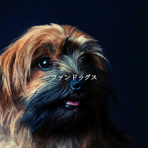 Playful (Wellness and Care)