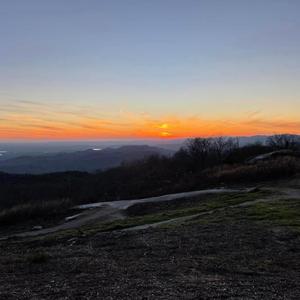 Carolina Upstate Call