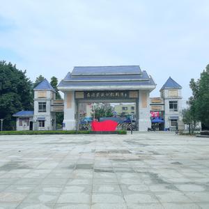 那年夏天毕业(挂电版)