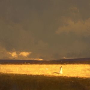 你放心飞吧 这次我不再追