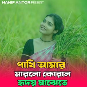 পাখি আমার মারলো কোরাল হৃদয় মাঝেতে