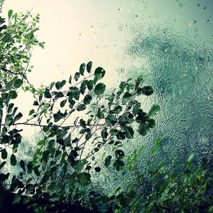 风和雨.flac