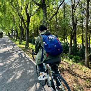 此情滔滔与君听