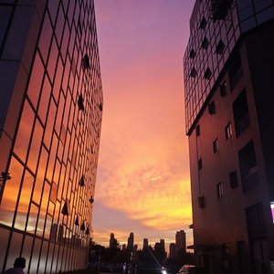 圆滚滚的勋章.wav