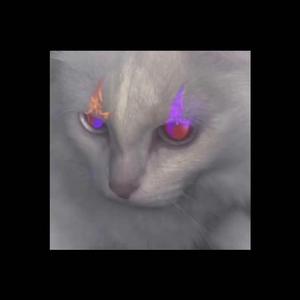 丑惡陷阱（Prod.Copta）