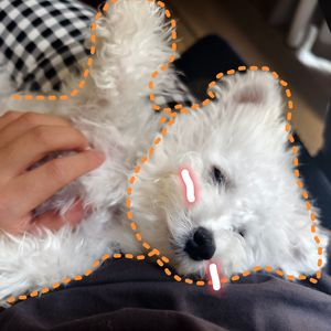 好玩，爱玩，下次还玩