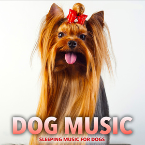 Dog Music