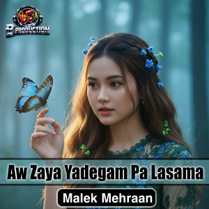 Aw Zaya Yadegam Pa Lasama