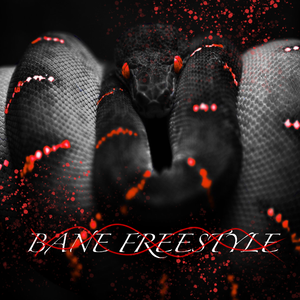 BANE FREESTYLE