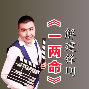 一两命（DJ版）