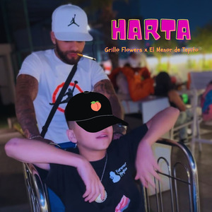 Harta