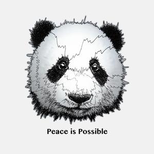 Peace is Possible