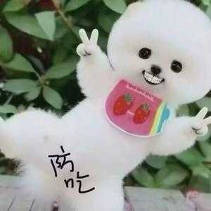 老地方见