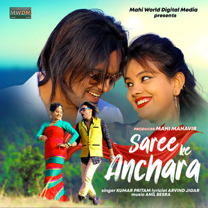 SAREE KE ANCHARA