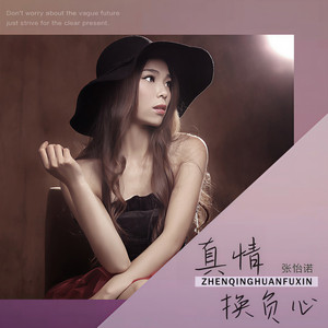 真情换负心 (DJ版)