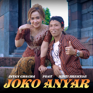 JOKO ANYAR