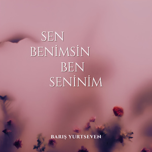 Sen Benimsin Ben Seninim