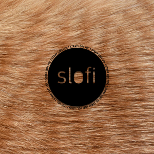 Cool Down (From "Stray") [Lofi Version]