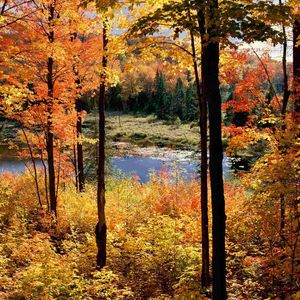 Marry (R&B男生版)